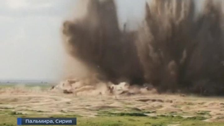 Халифат превратит Пальмиру в пыль и песок