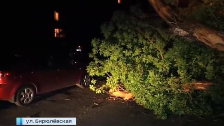 На юге Москвы на "Ладу" упало дерево