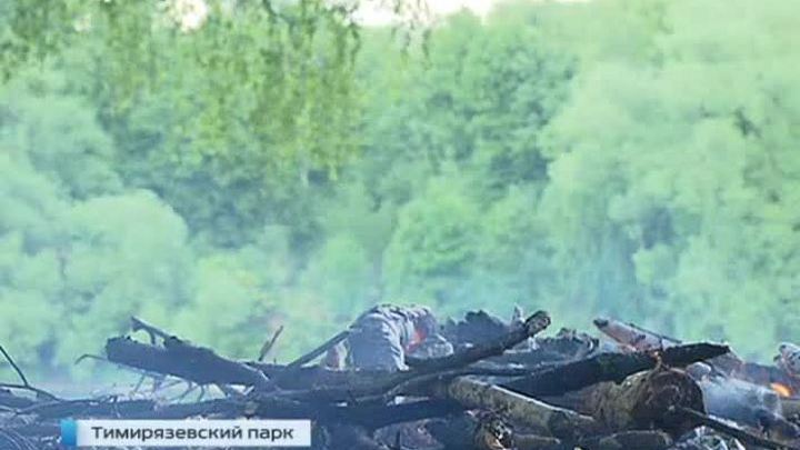 Посетителям Тимирязевского парка предложат отдых с "человеческим лицом"