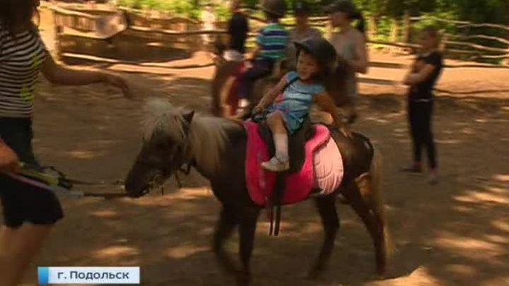В Подольске отравили лошадей в конюшне, где занимаются тяжелобольные дети