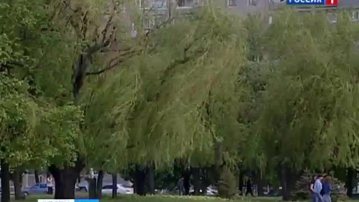 Синоптики Дона: 'На выходных жара отступит, ожидаются дожди'