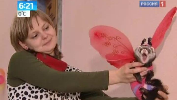Эфир от 25.11.2011