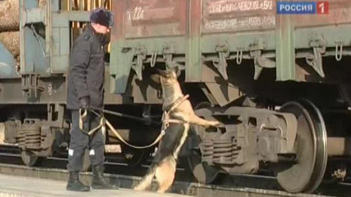 Мусульмане 16.12.2011
