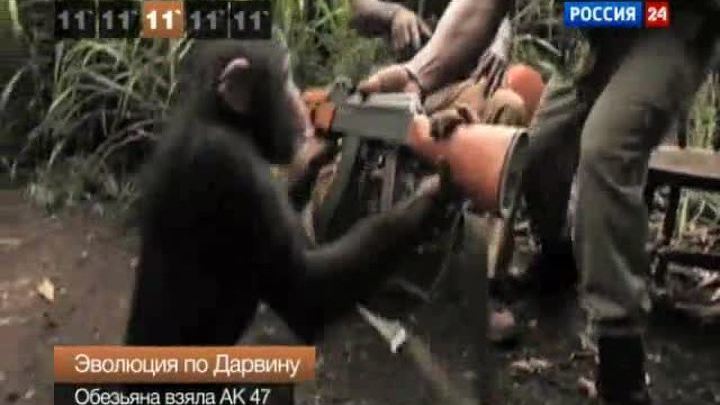 События 2011 года: самые популярные видео с животными