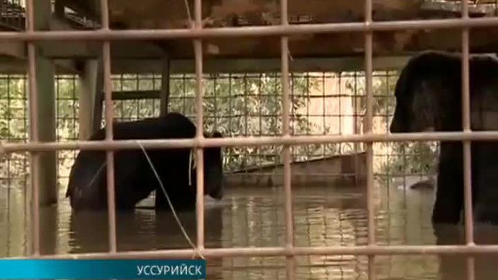 Эфир от 02.09.2015 (15:00) 
