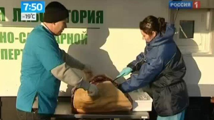 Утро России. ЛАборатория