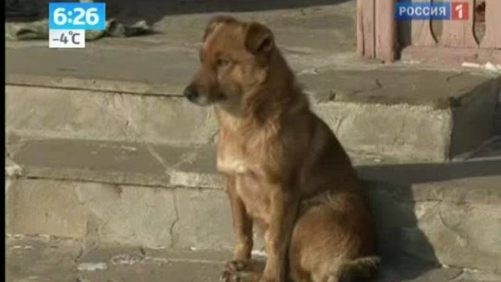 В Европе начали сдавать в аренду целые деревни