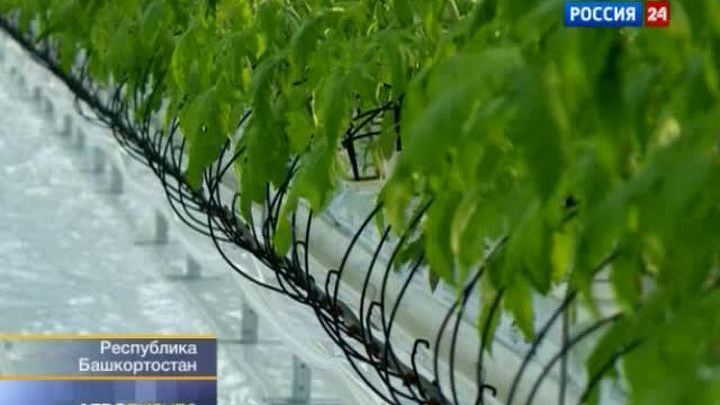 "Вести. Агробизнес" от 24 марта 2012 года