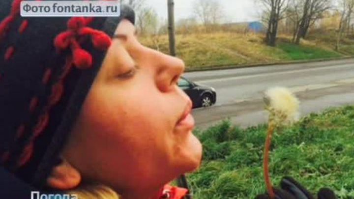 Зима сдала позиции: в нескольких регионах России установилось аномальное тепло
