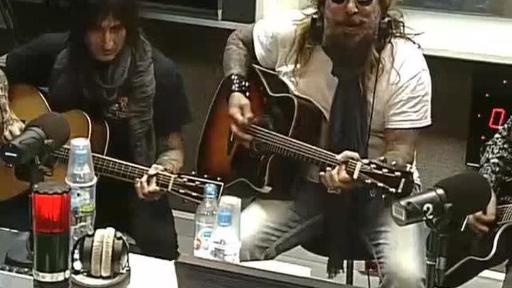 Живой концерт группы THE DEAD DAISIES