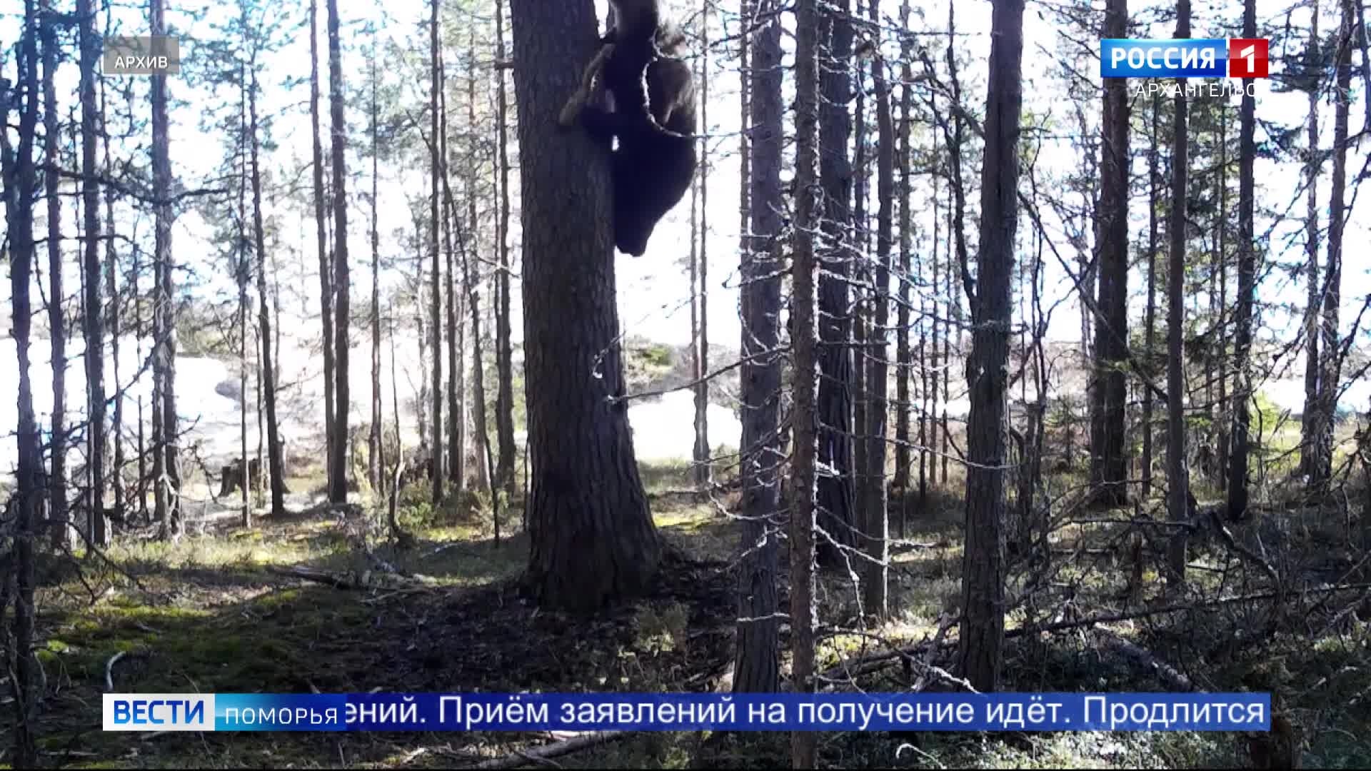 Вести Поморья в 11:30, эфир 6 апреля 2026 г.