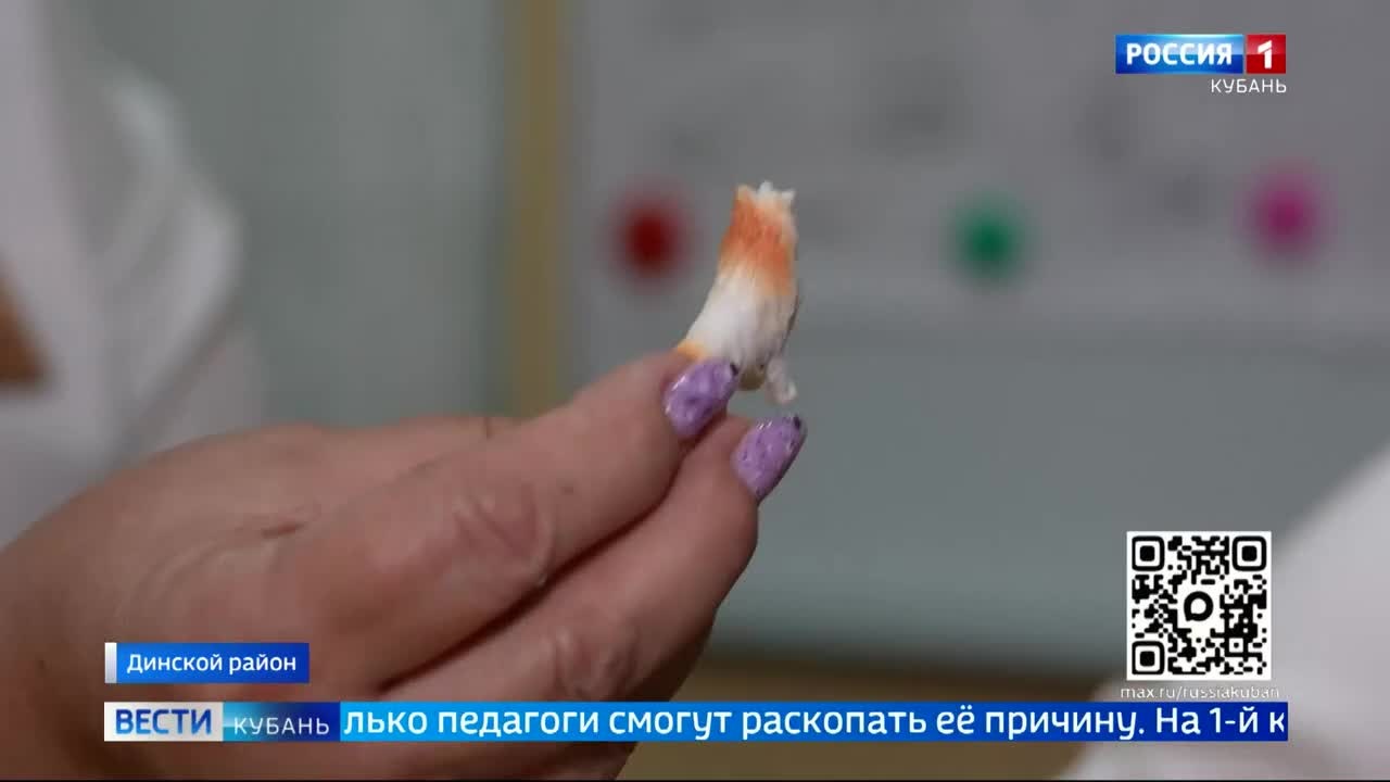 Эфир от 07.04.2026 (11:30)