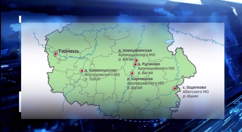 Несколько низководных мостов подтоплено в Тюменской области из-за паводка