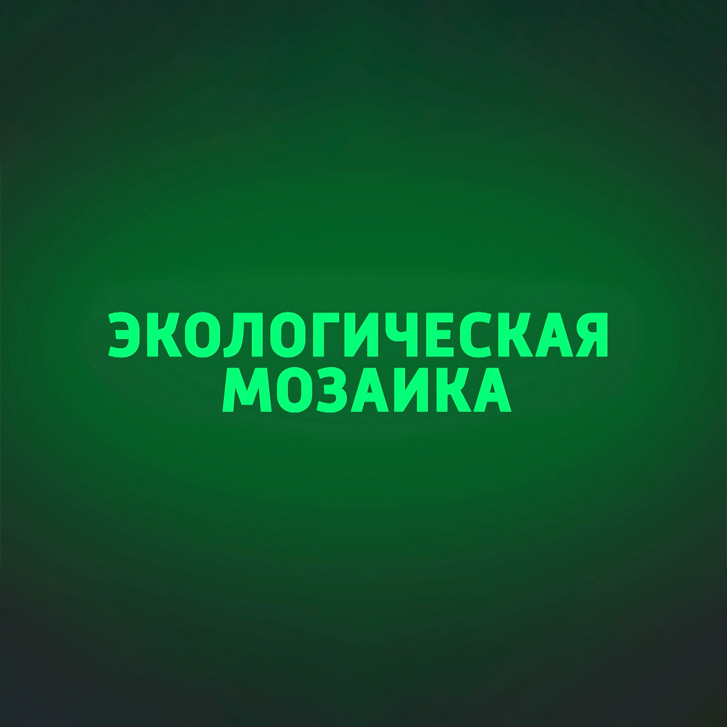 Экологическая мозаика