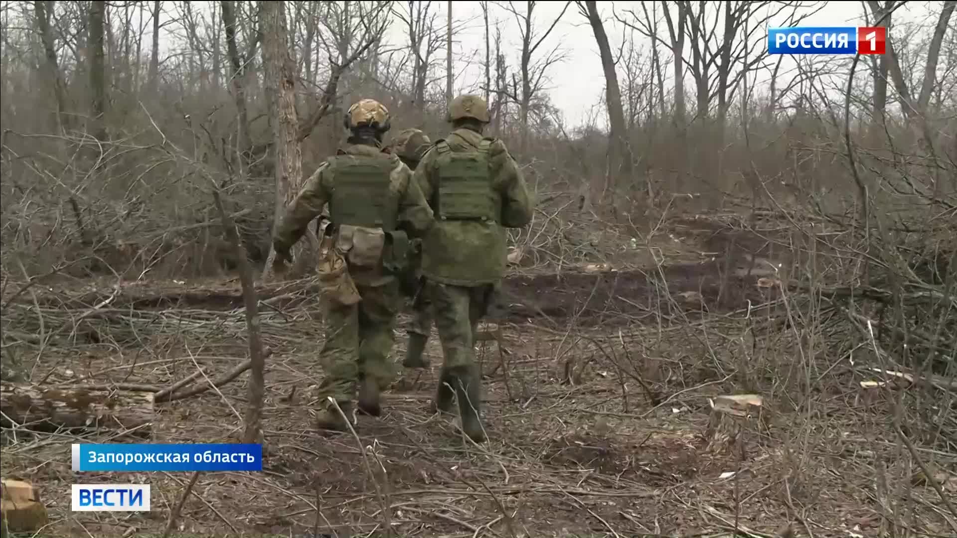 Воздушные саперы и хитрость на передовой: освобождение территории под Гуляйполем