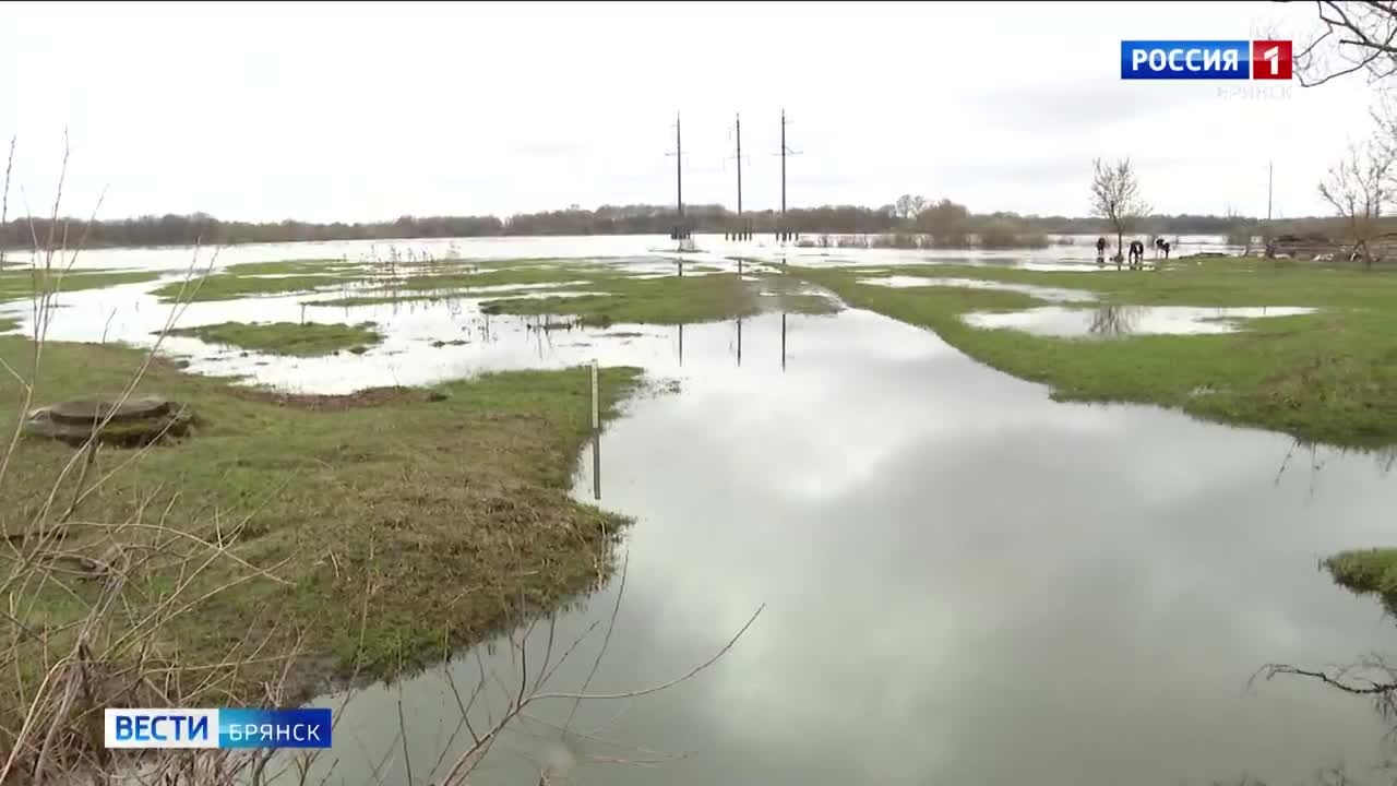 На Брянщине паводок пошел на убыль
