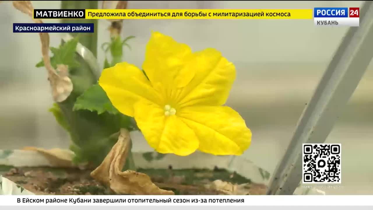 Эфир от 01.04.2026 (21.00)