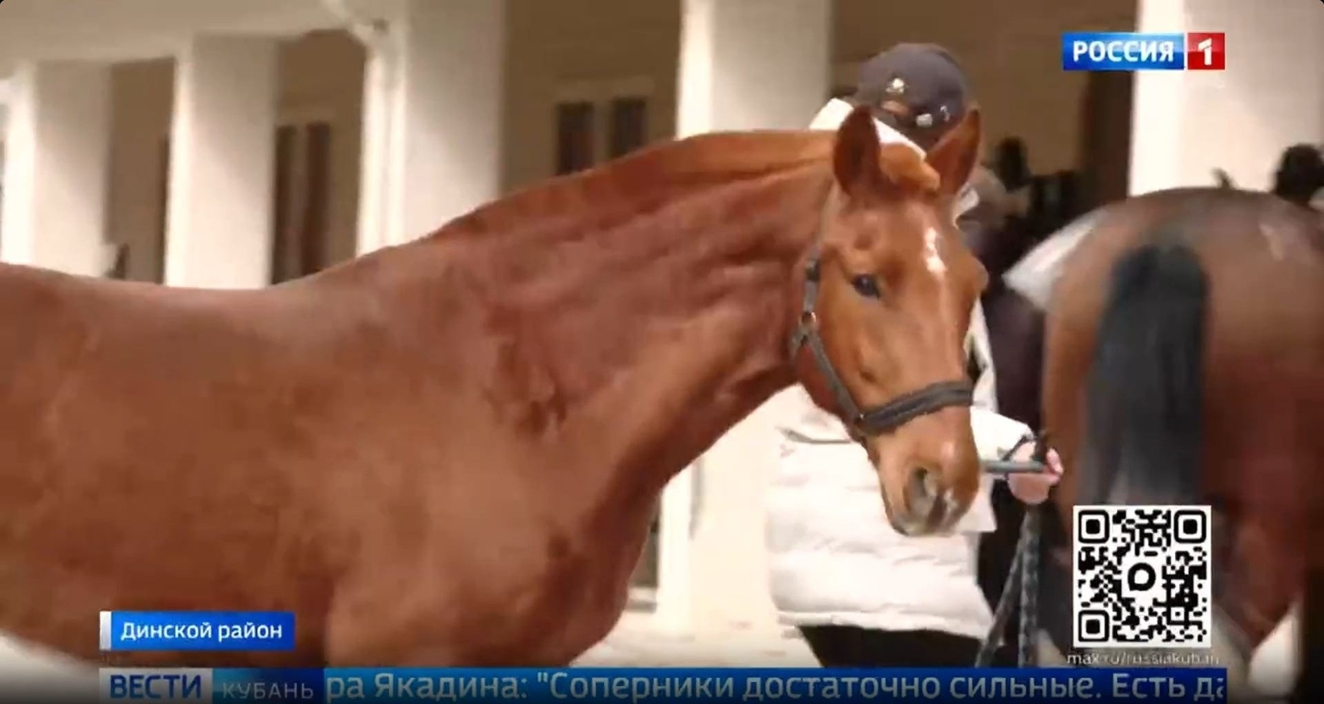 Эфир от 09.04.2026 (11:30)