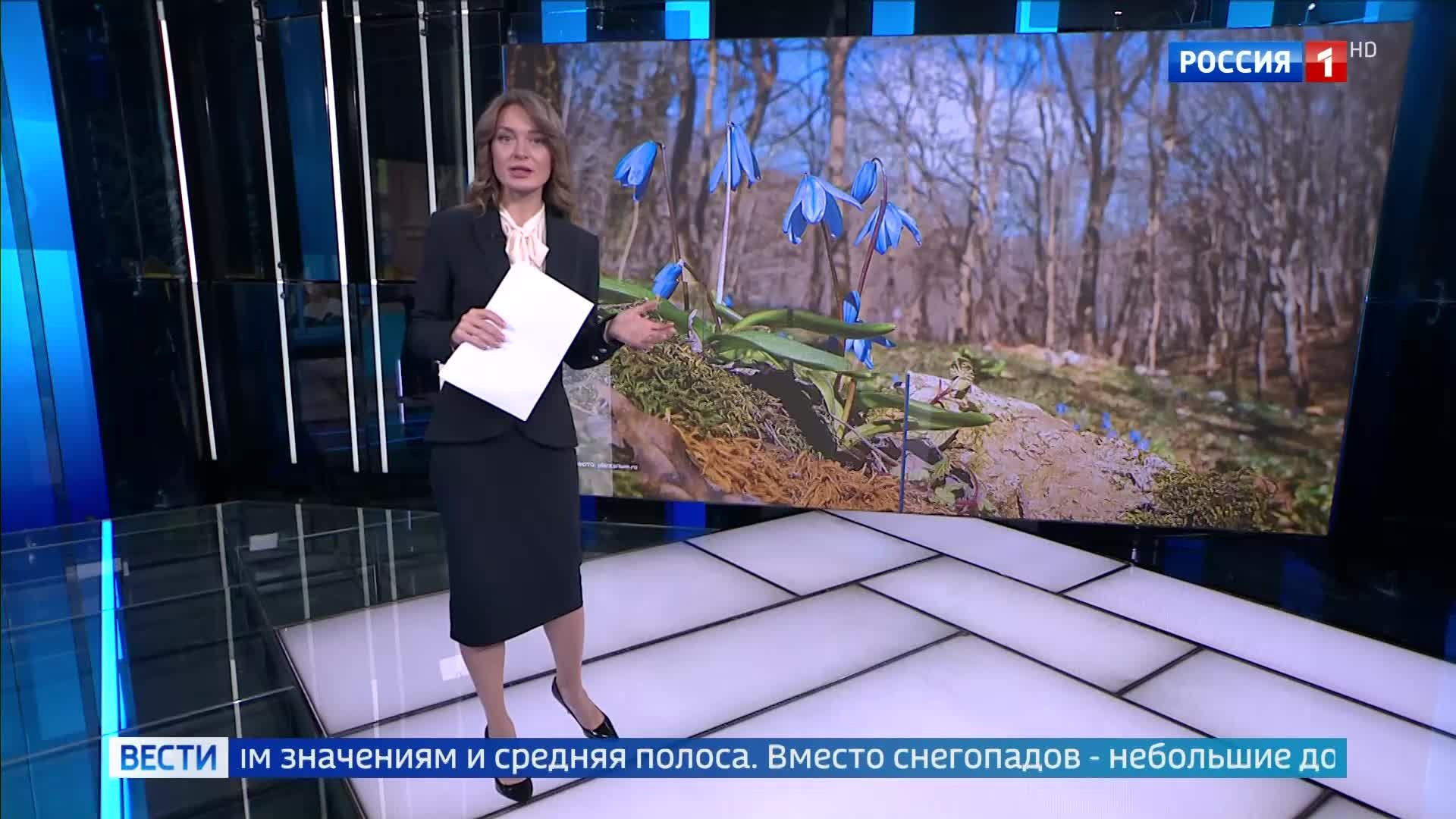 Антициклон принесет теплую погоду от Архангельска до Москвы