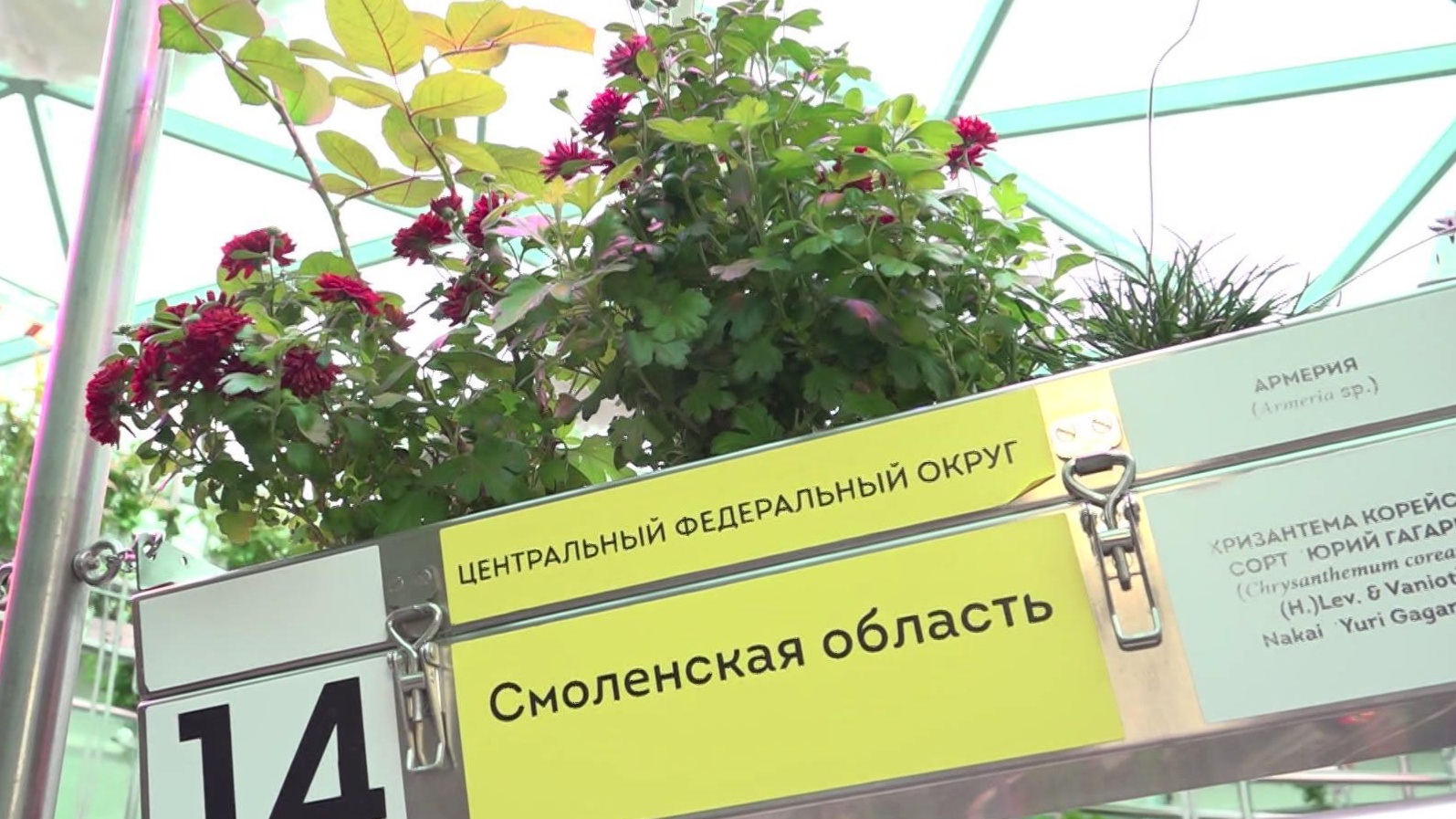 Куличи, хороводы и "Домики добра": в Москве проходит фестиваль "Пасхальный дар"