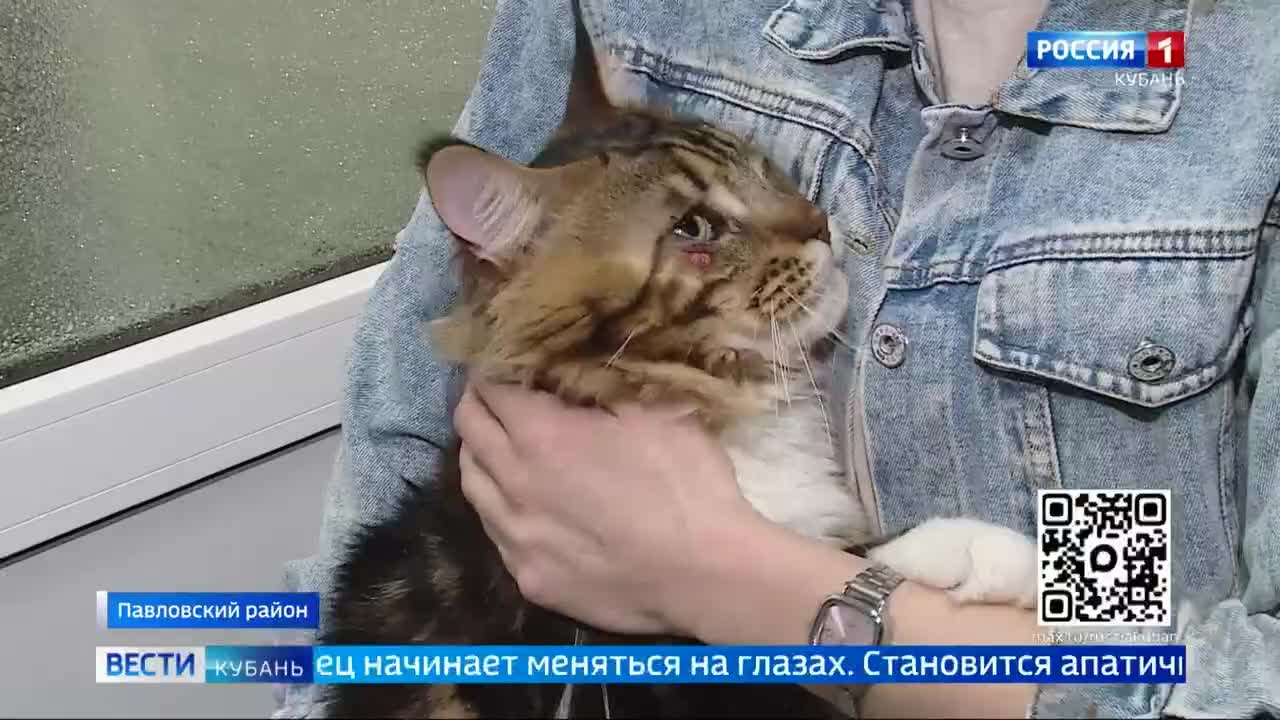 Эфир от 13.04.2026 (11:30)