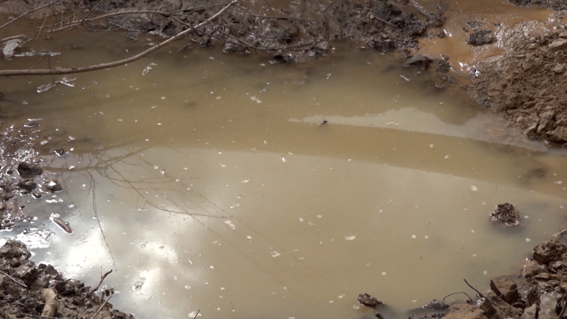 В Муроме выявили 677 случаев острой кишечной инфекции