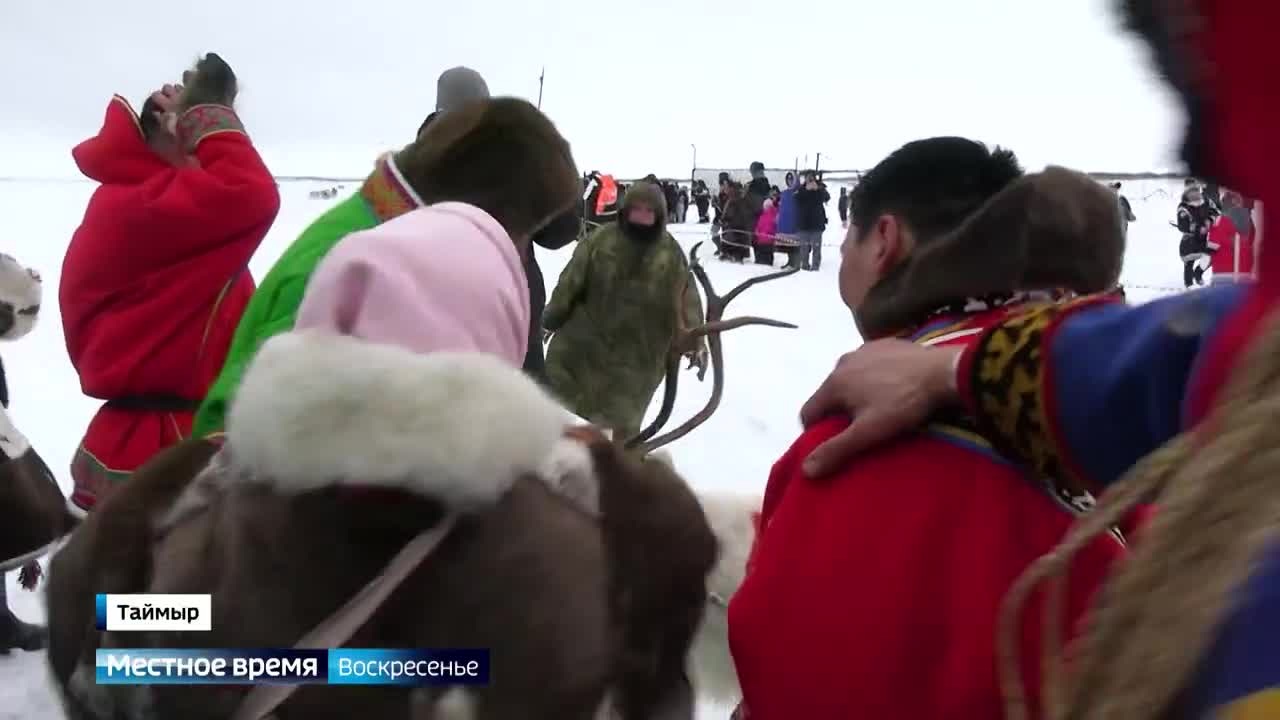 На Таймыре проходит День Оленевода