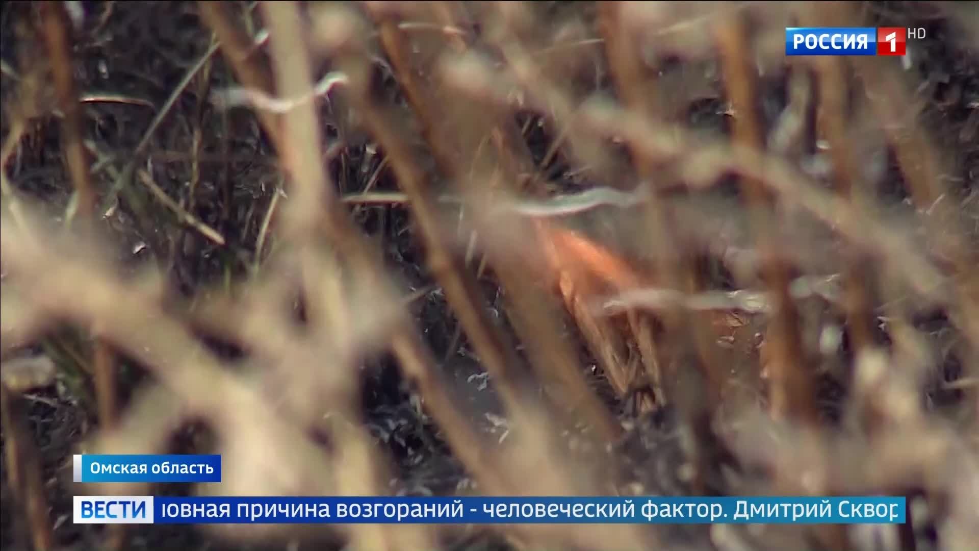 "Зима возвращается в Сочи: снег и ледяные трассы. Подтопления и пожары на востоке России."