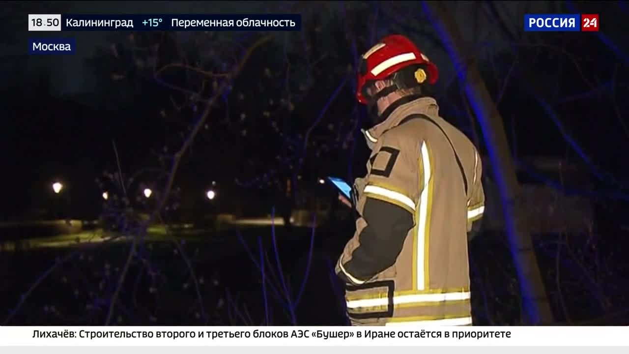 Без названия