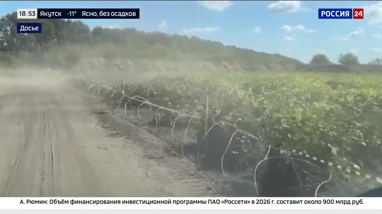 Без названия