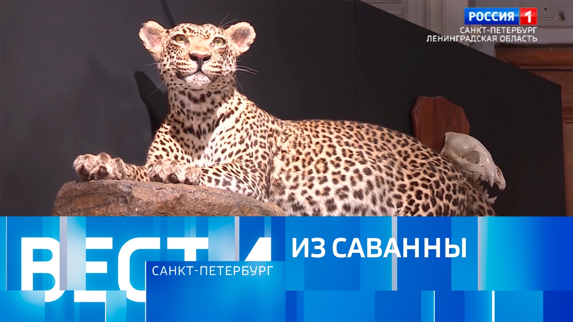 Эфир от 15.04.2026 (21:10)