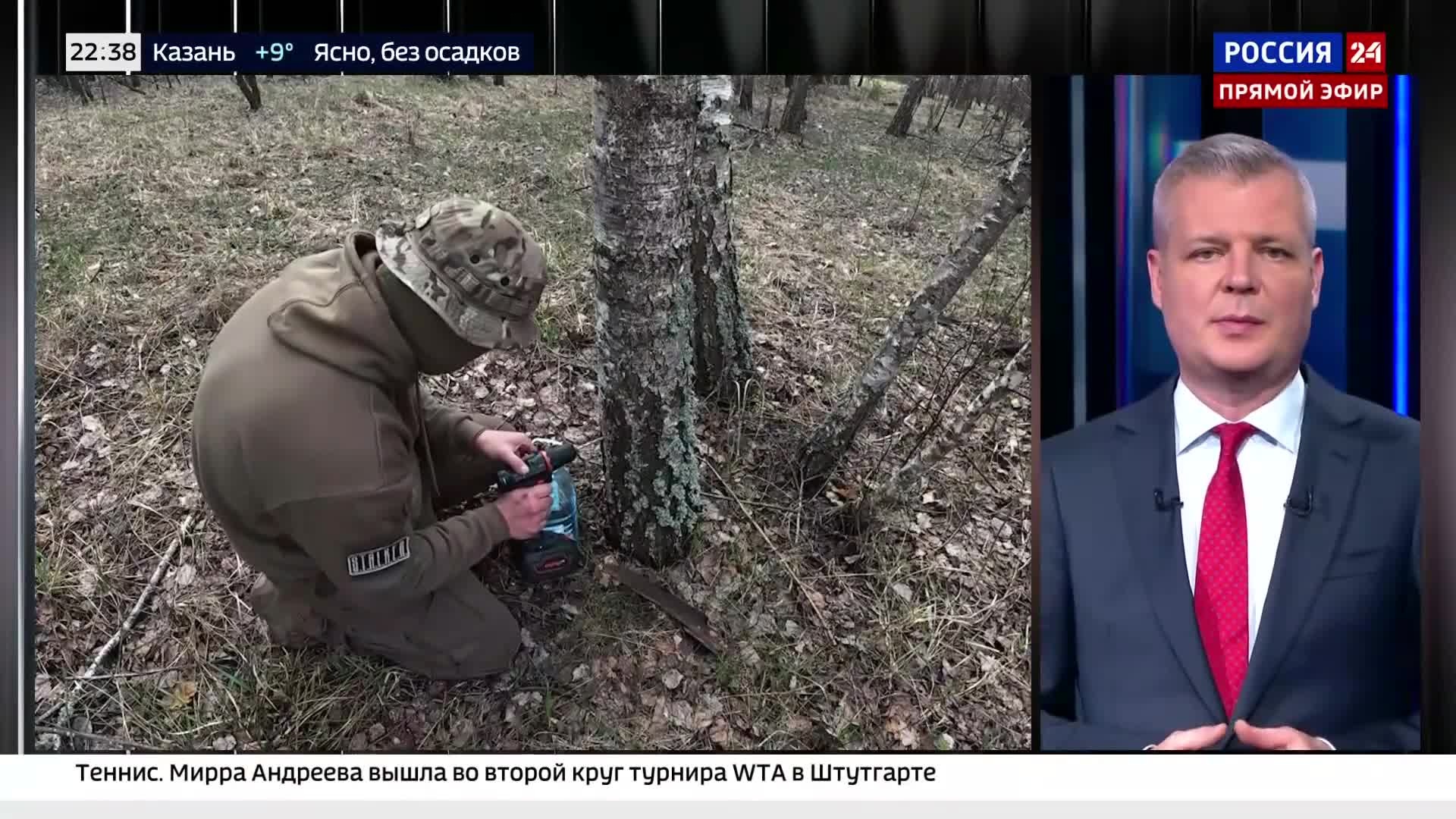 Выявлено производство хлеба из зараженного зерна.