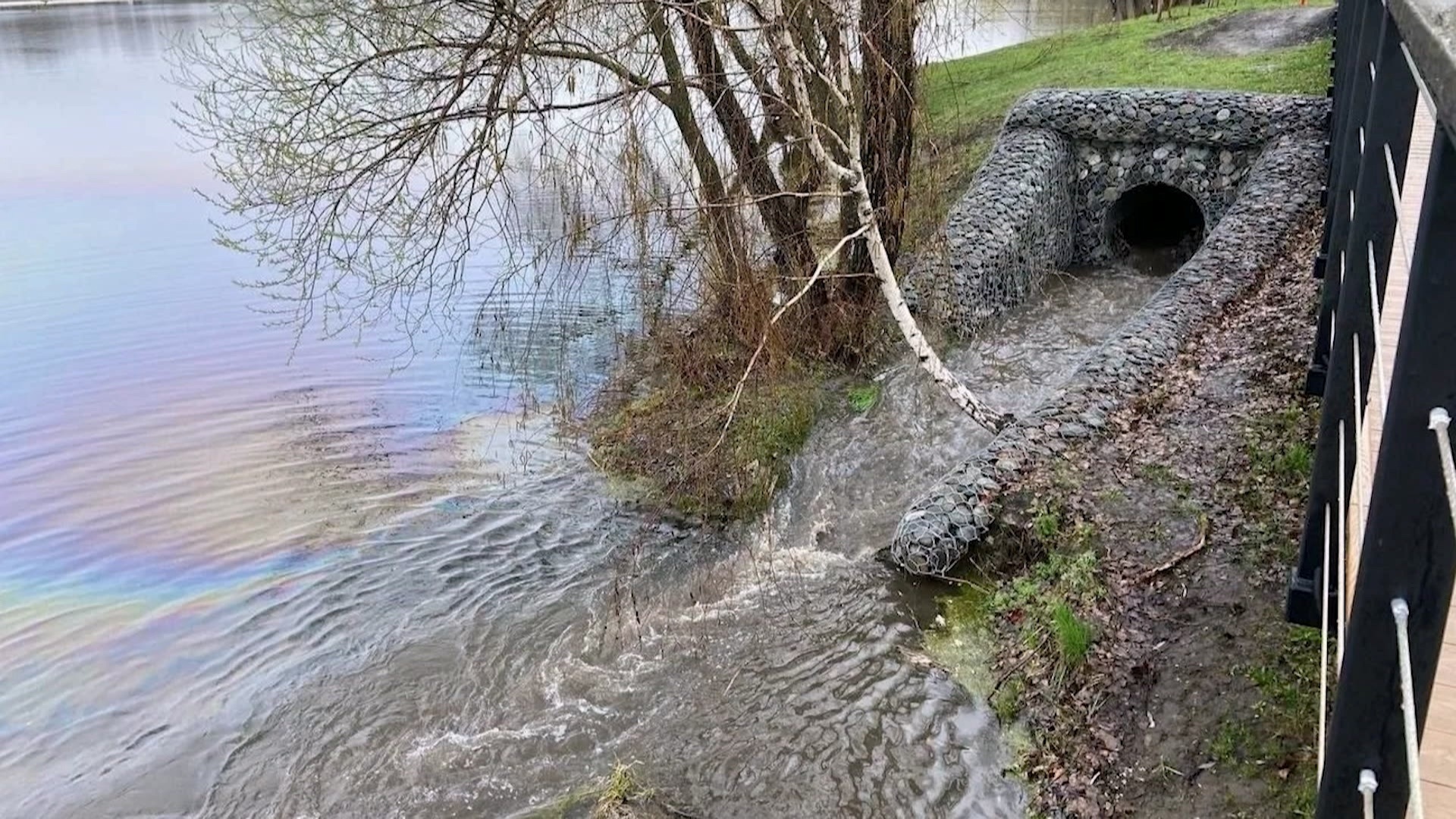 На поверхности Северского Донца в Белгороде появились бензиновые разводы