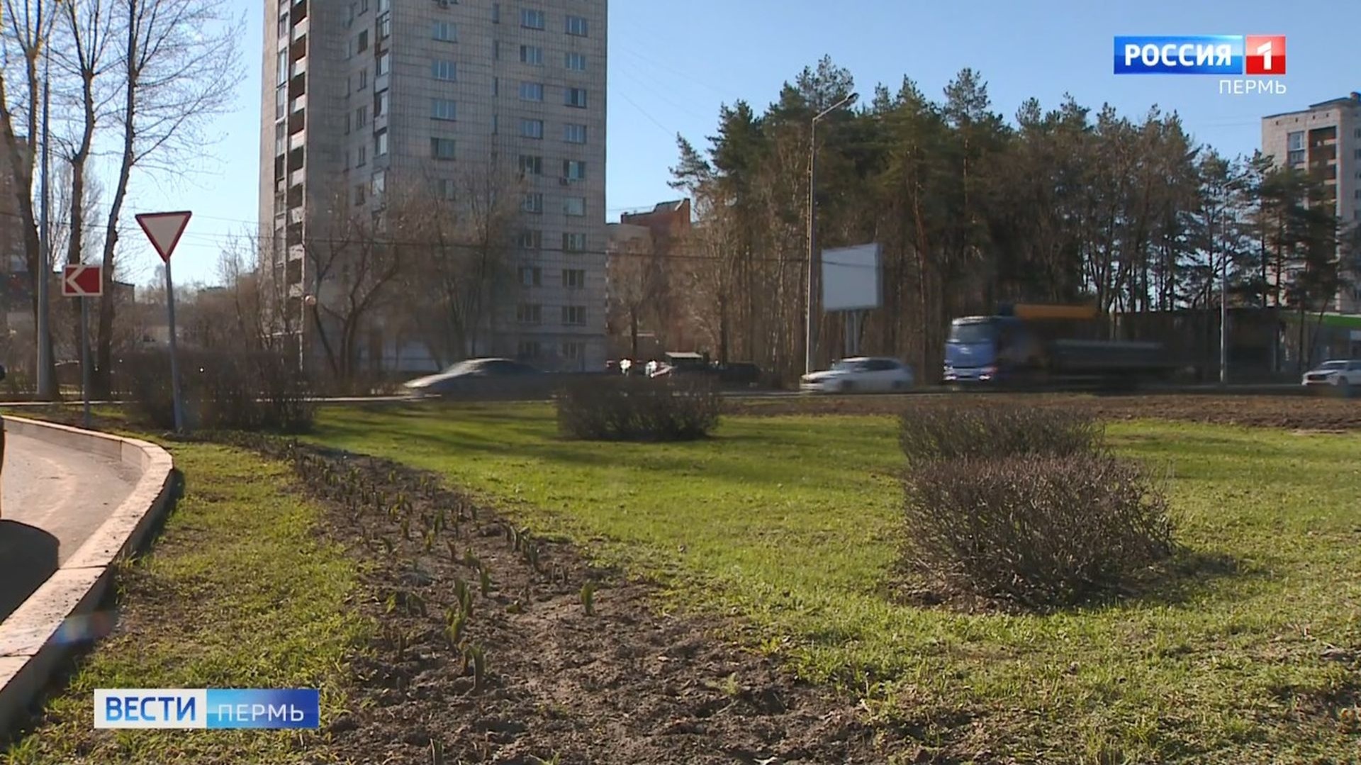В Перми стартовал первый этап озеленения