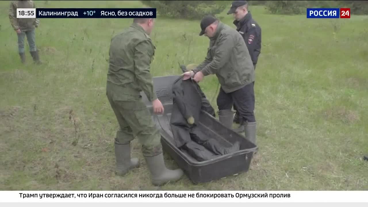 Анонс итогового выпуска