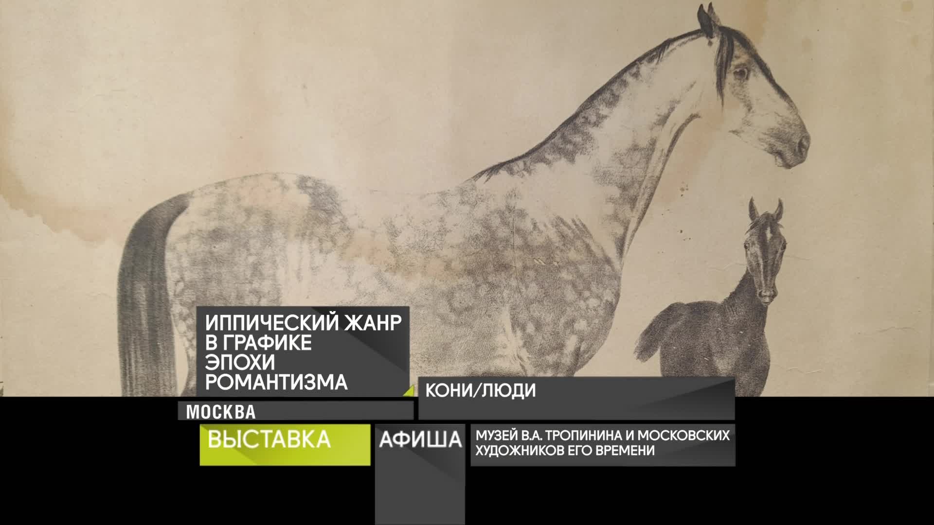 19 апреля 2026 года
