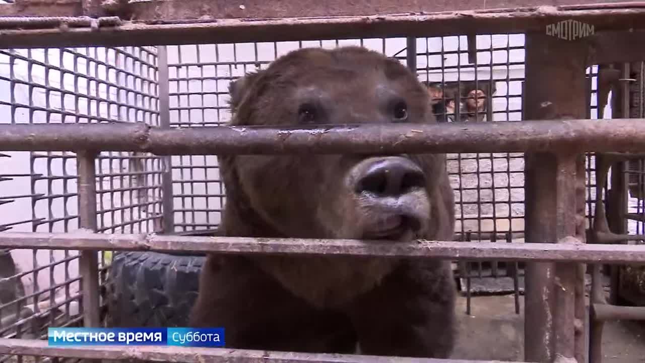 Эфир от 18.04.2026