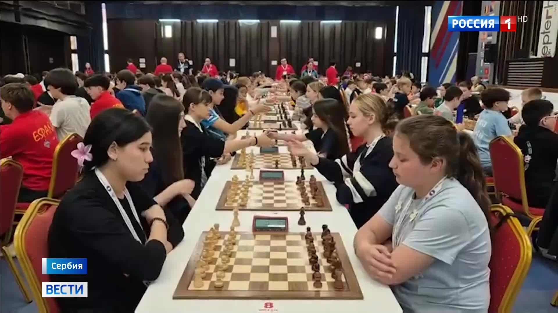 шахматы