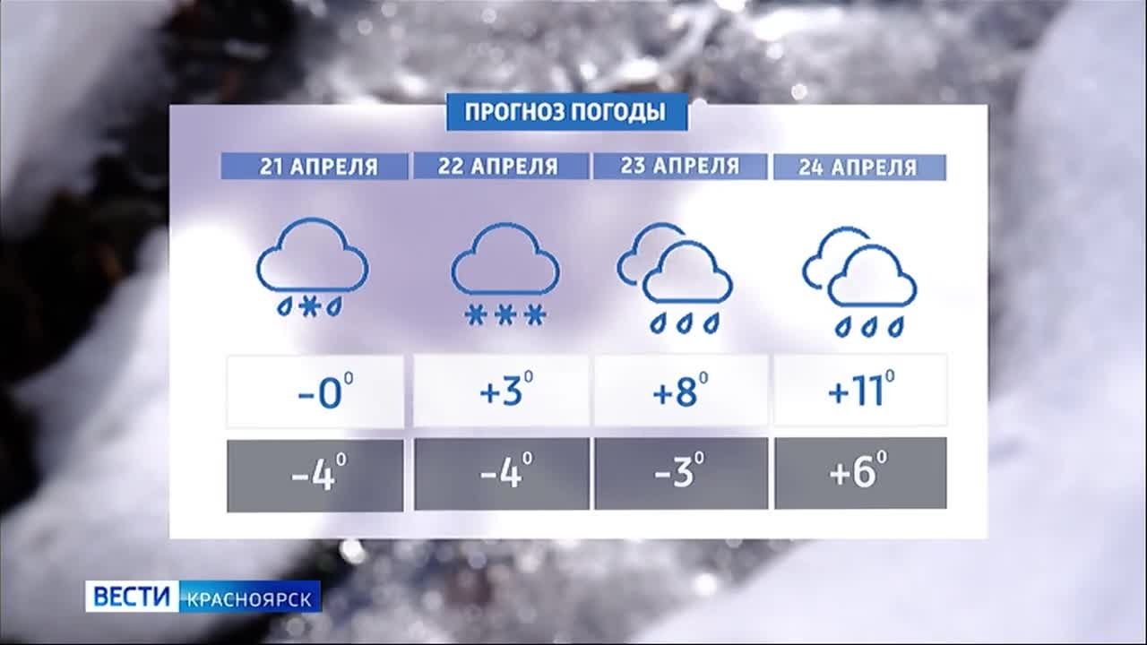 Как долго в крае продержатся заморозки и ждать ли тепла?