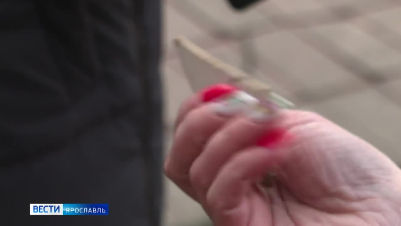 В Ярославле во время коммунальных работ обнаружили кости