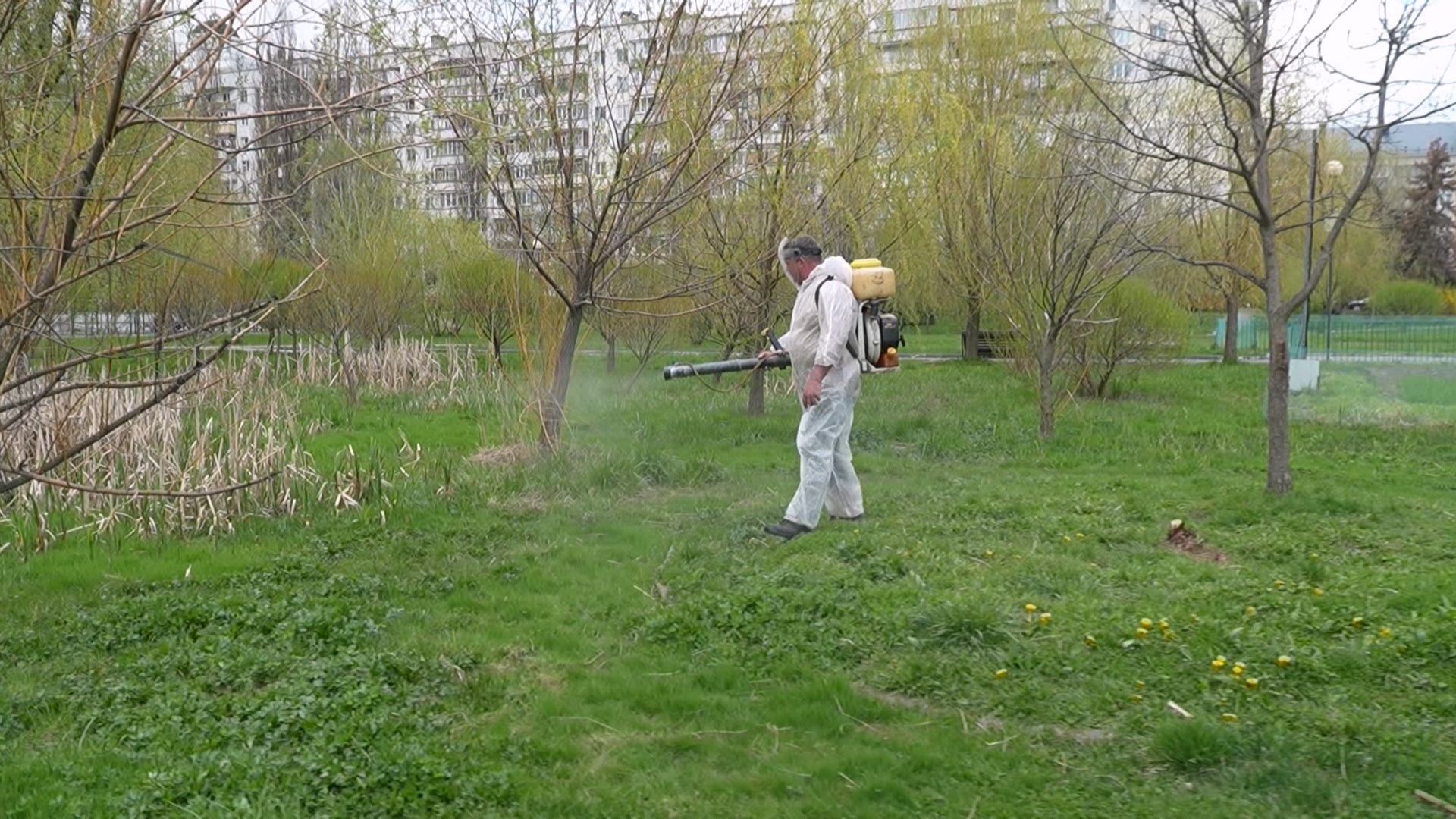 В Белгороде началась масштабная обработка общественных пространств от клещей
