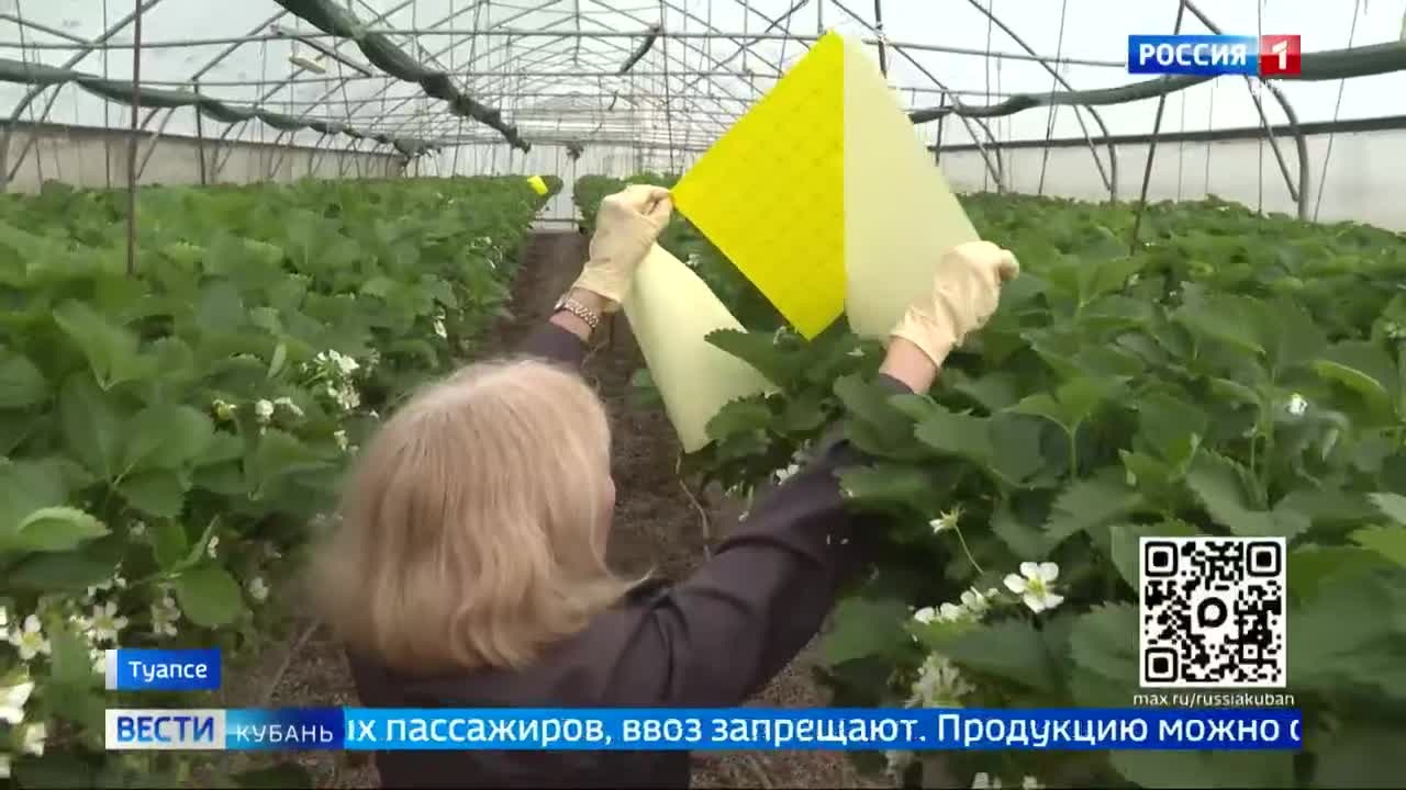 Эфир от 22.04.2026 (11:30)