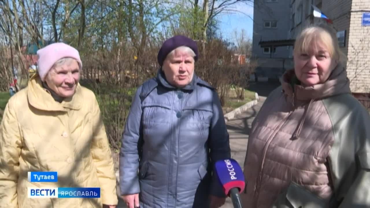 В Тутаеве во дворе жилого дома на месте коммунальных раскопок поселился бобр