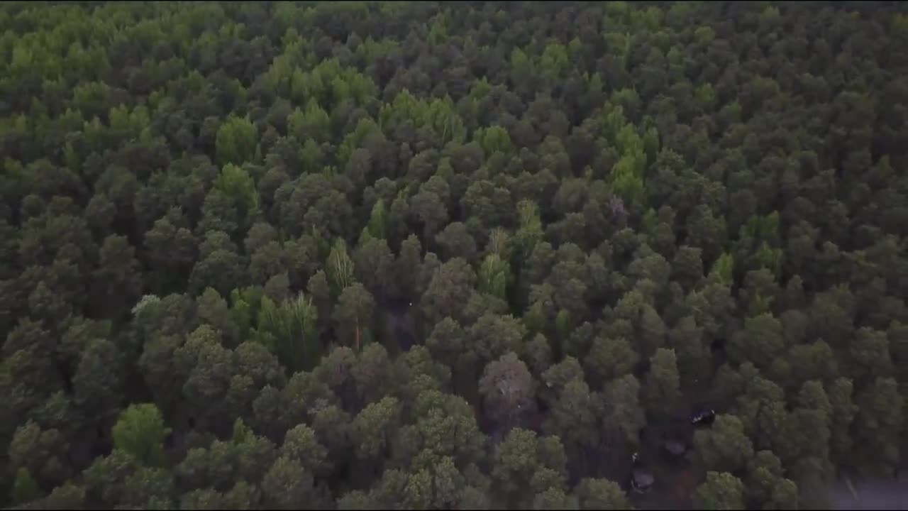 Эфир от 22.04.26 (11:30)
