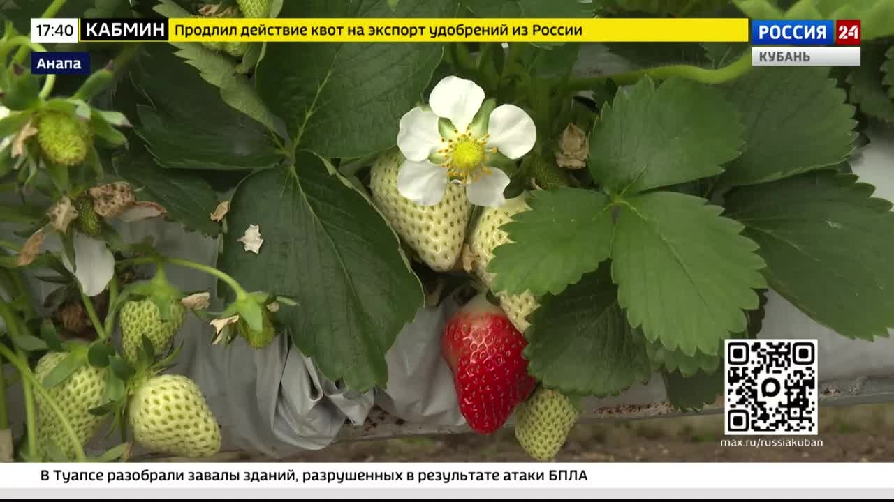 Эфир от 22.04.2026 (17:30)