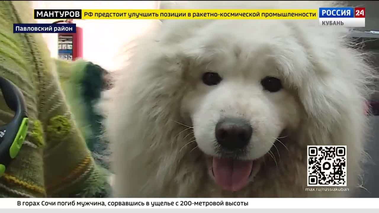 Эфир от 13.04.2026 (17:30)