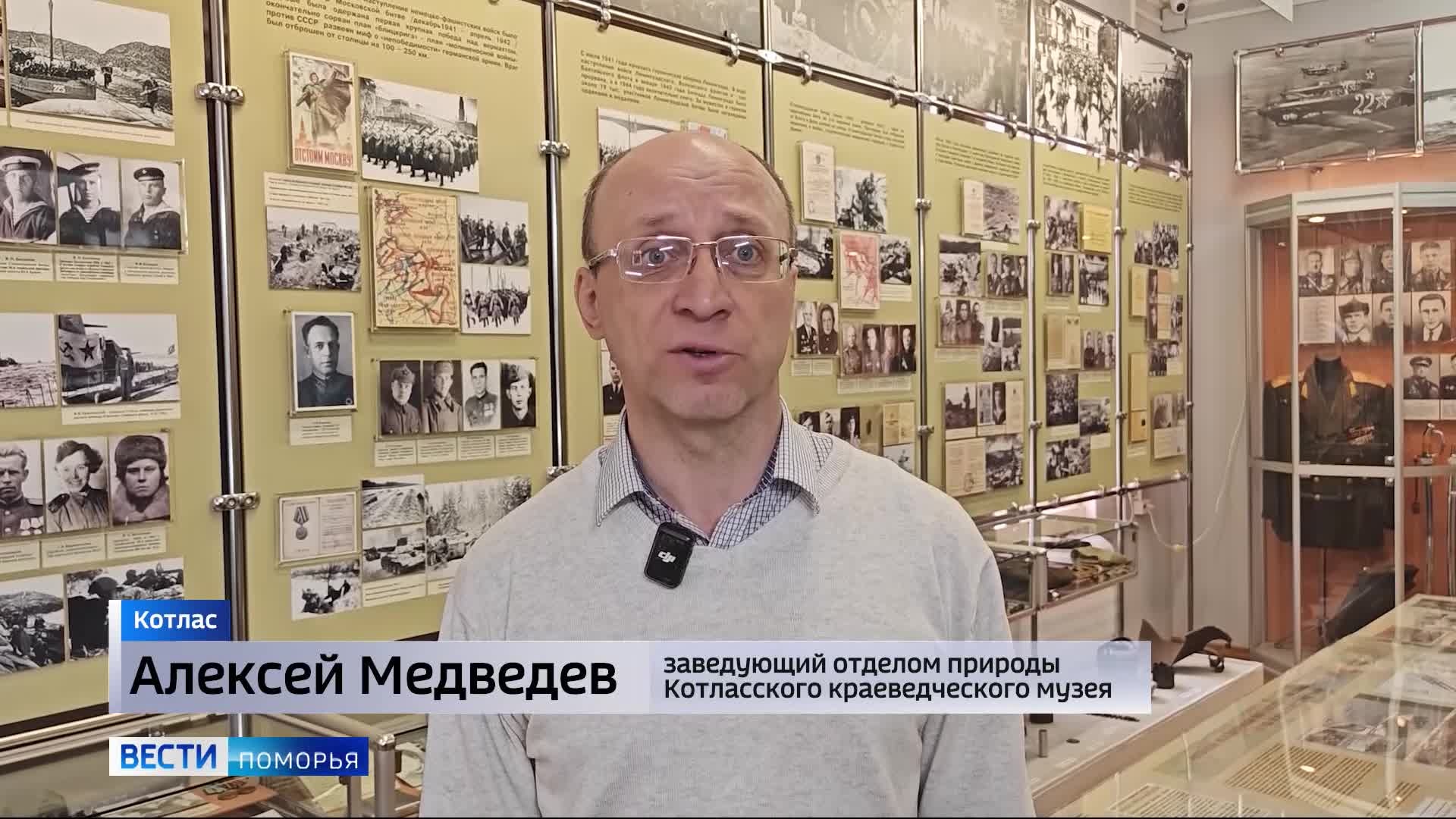 Вести Поморья в 9:30, эфир 23 апреля 2026 г.