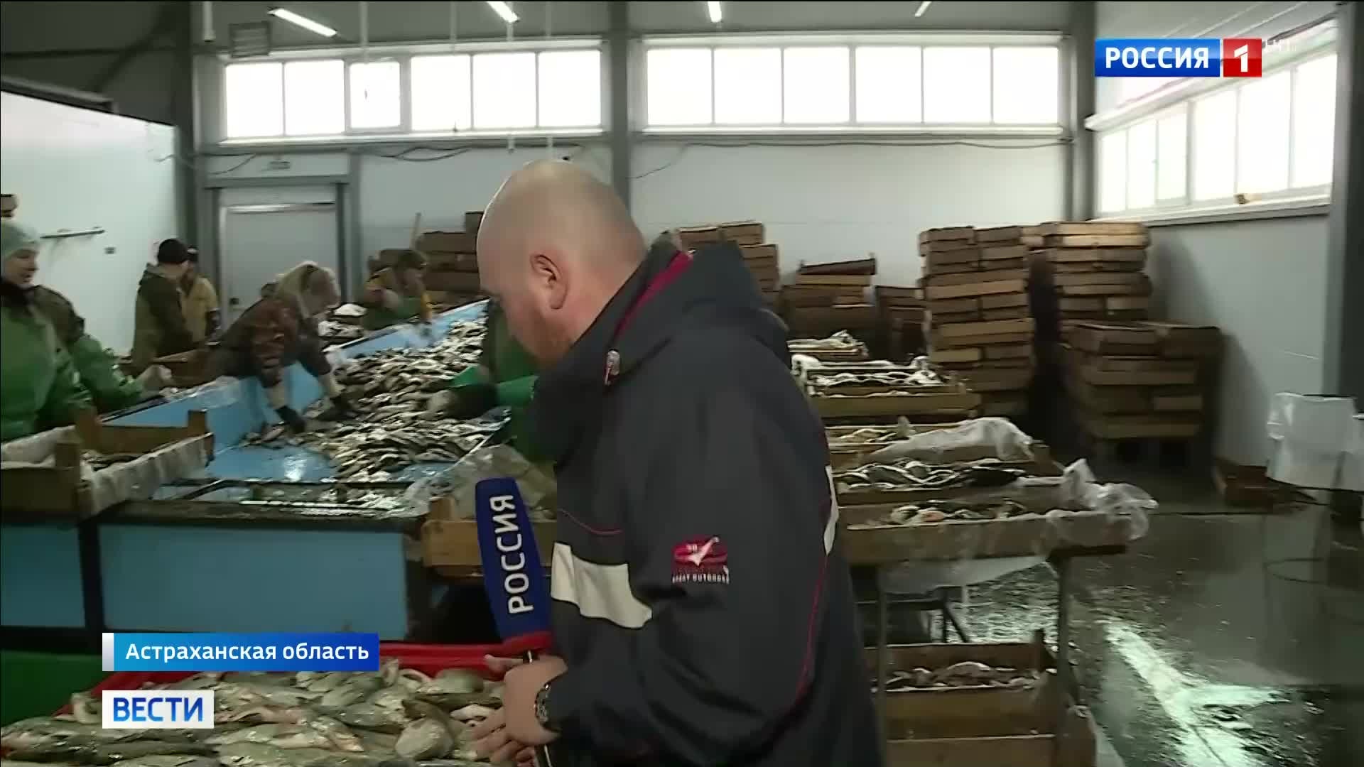 Сброс воды на Волге спасает поселки и поддерживает нерест рыбы