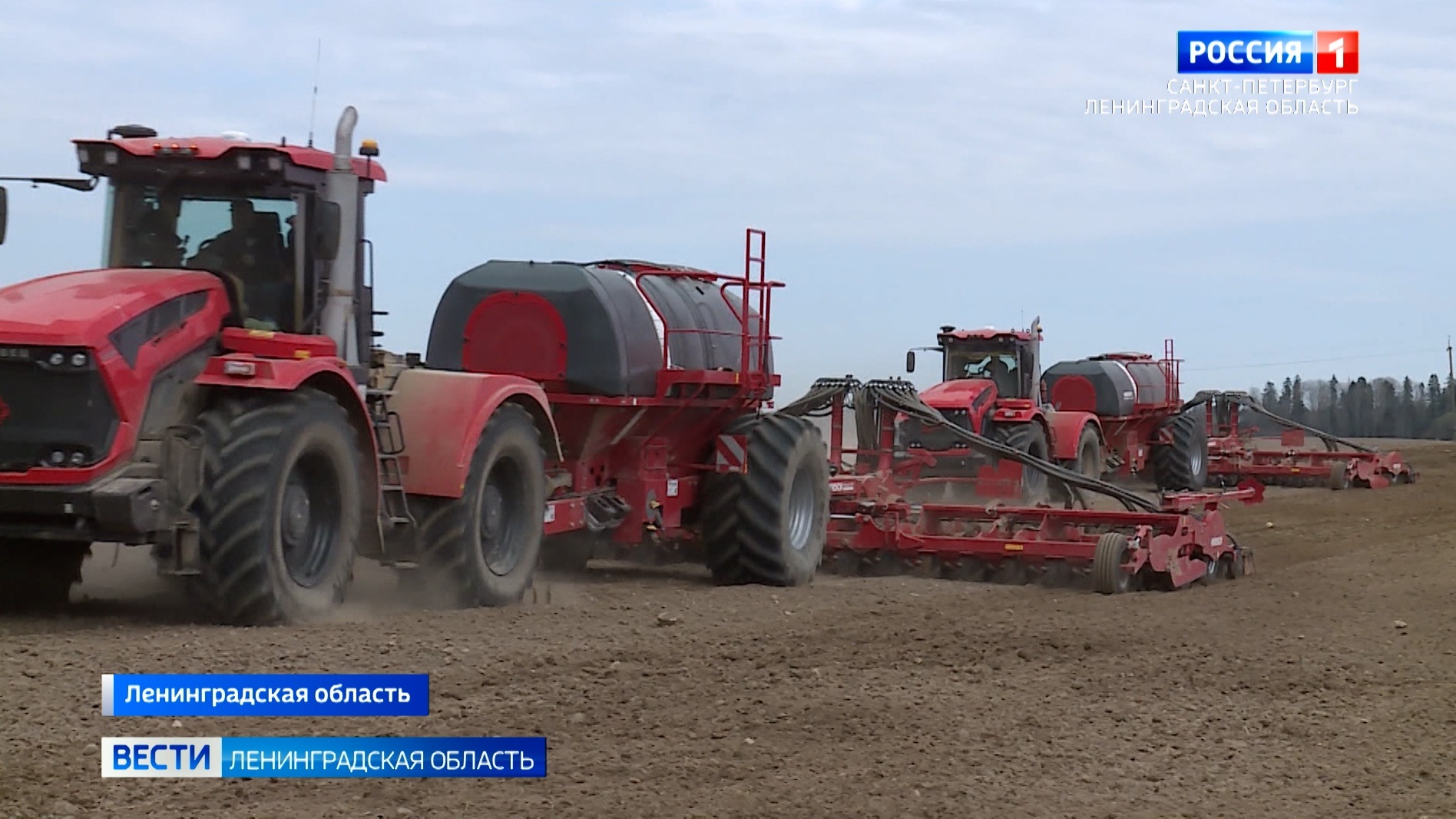 В Ленинградской области стартовала посевная кампания