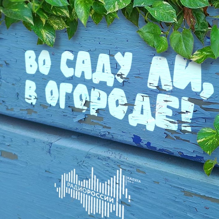 Во саду ли, в огороде!
